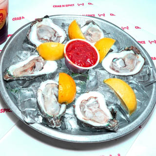 Oyster (6)