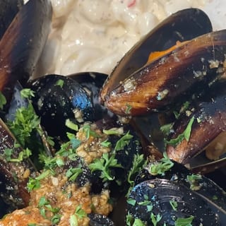 Blue Mussel Combo