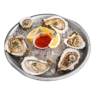 Oyster (6)